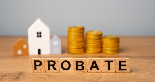 Wooden blocks Probate and miniature houses