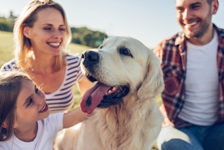 family with therapy dog